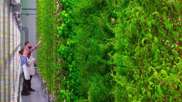 Jeff Bezos and other investors raise $200 million for vertical farming startup Plenty